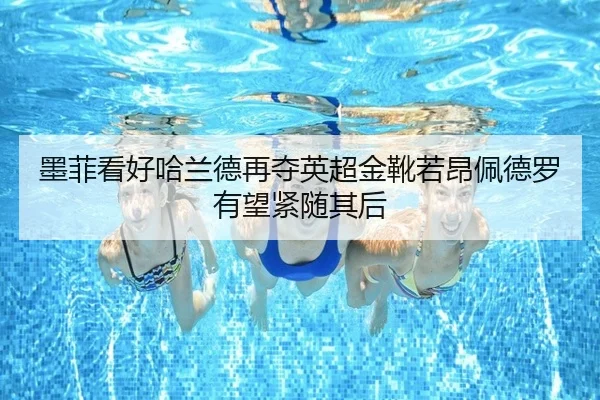 墨菲看好哈兰德再夺英超金靴若昂佩德罗有望紧随其后 - www.jiuyou.conapp